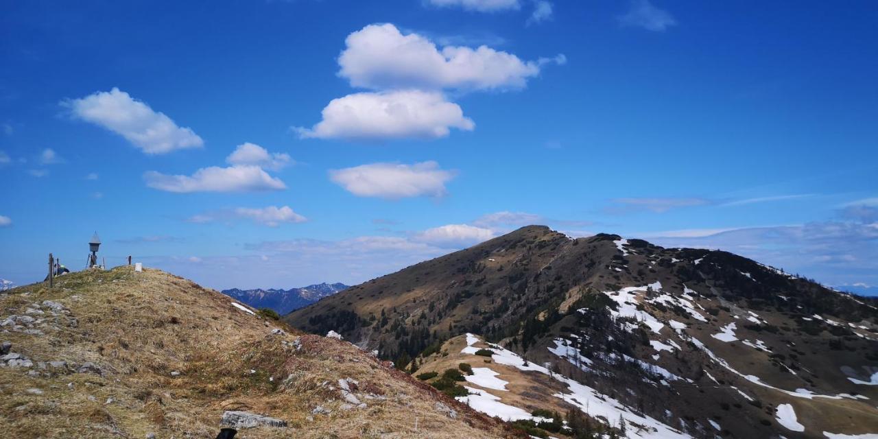 Appartamento Kiara 7 Jesenice Esterno foto