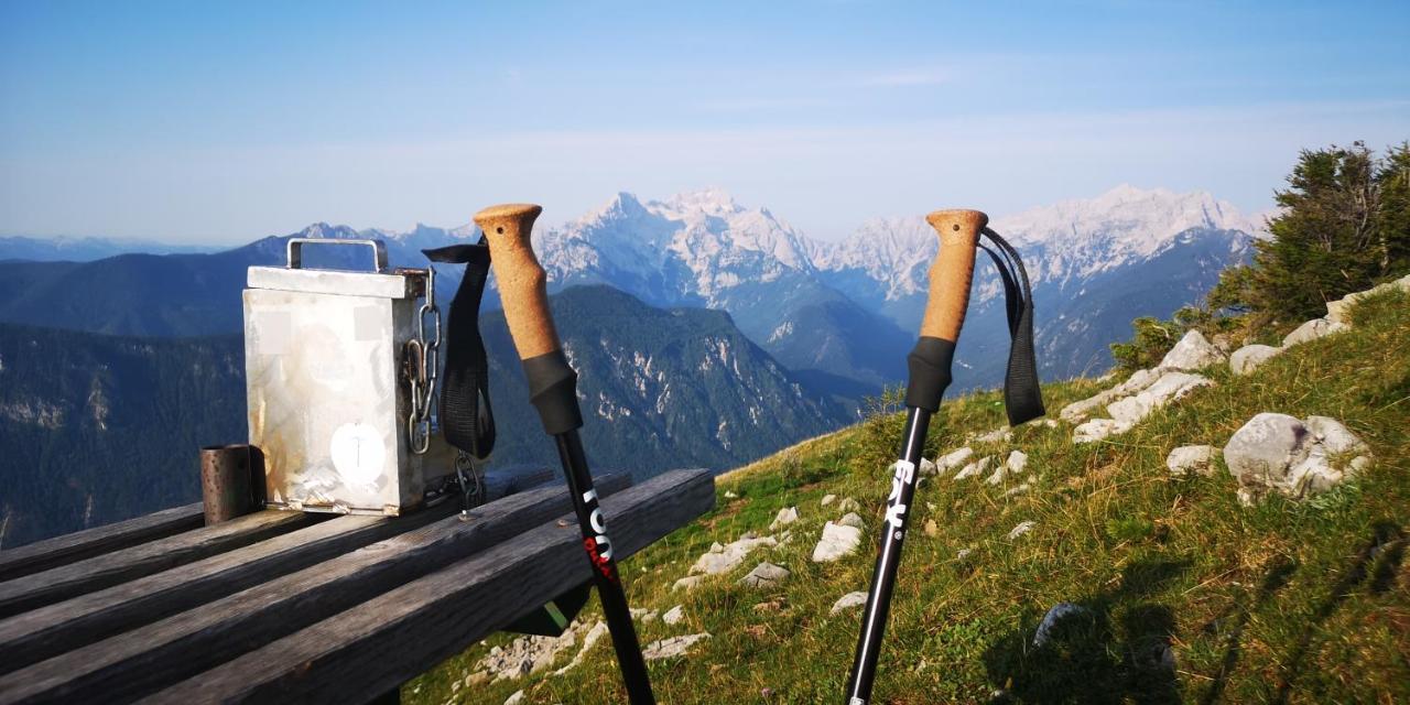 Appartamento Kiara 7 Jesenice Esterno foto